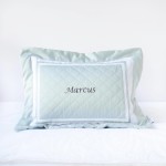 500 Thread Count PIMA Cotton Quilted Pillow - Peppermint (Out of Stock)